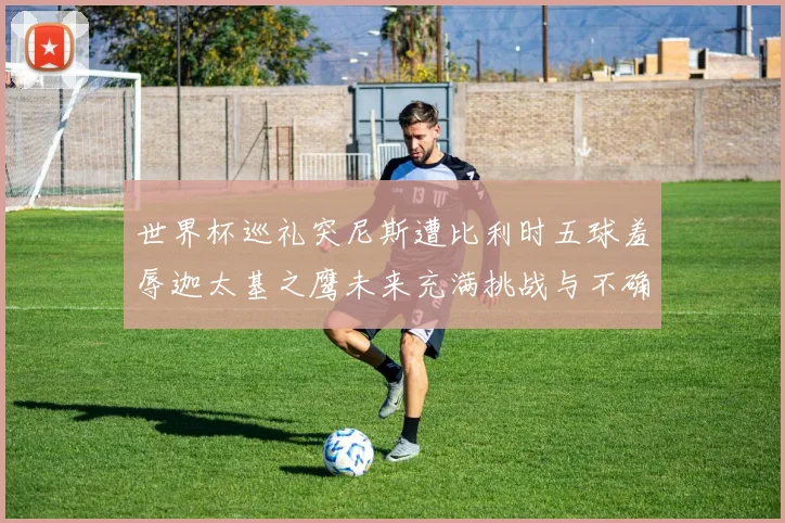 世界杯巡礼突尼斯遭比利时五球羞辱迦太基之鹰未来充满挑战与不确定性