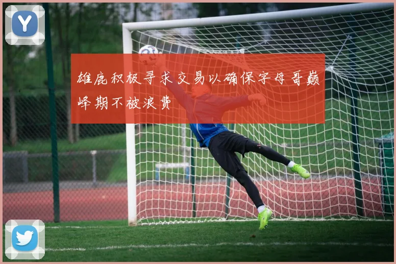 雄鹿积极寻求交易以确保字母哥巅峰期不被浪费