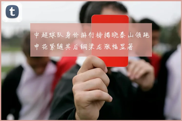 中超球队身价排行榜揭晓泰山领跑申花紧随其后铜梁龙涨幅显著